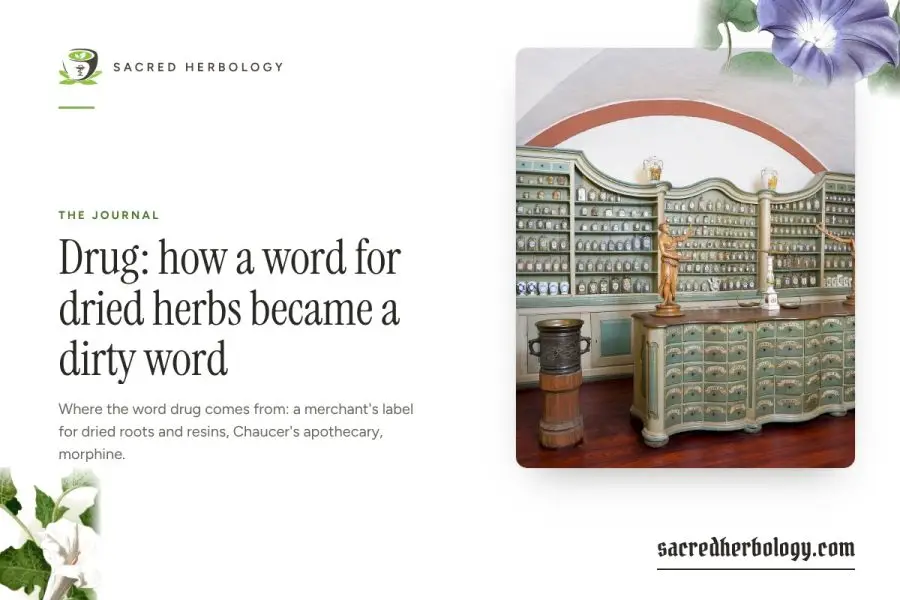 Drug: how a word for dried herbs became a dirty word