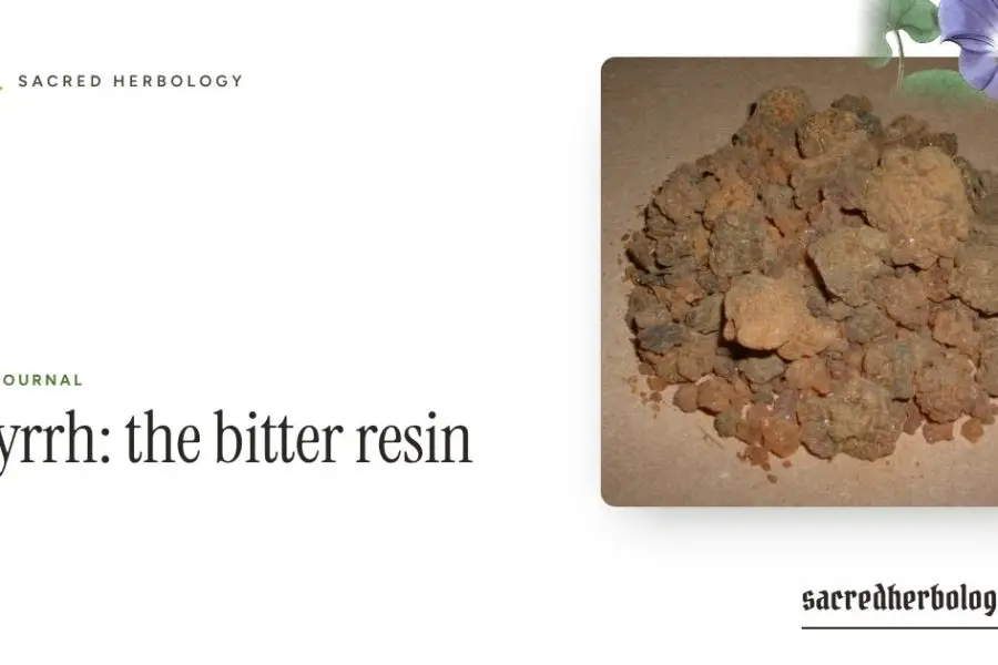 Myrrh: the bitter resin