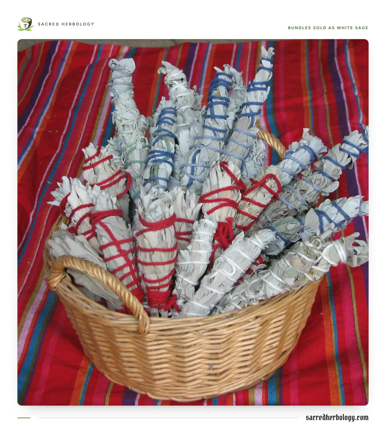 A wicker basket full of tightly bound bundles of dried grey-white leaves, each wound with red, blue or white string