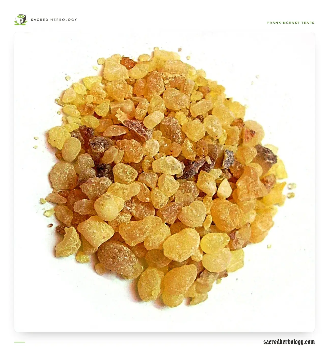 A heap of golden, translucent frankincense tears on a white background