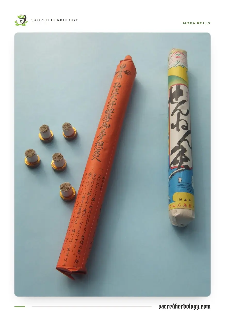 Two paper-wrapped moxa rolls beside a row of small stick-on moxa cones