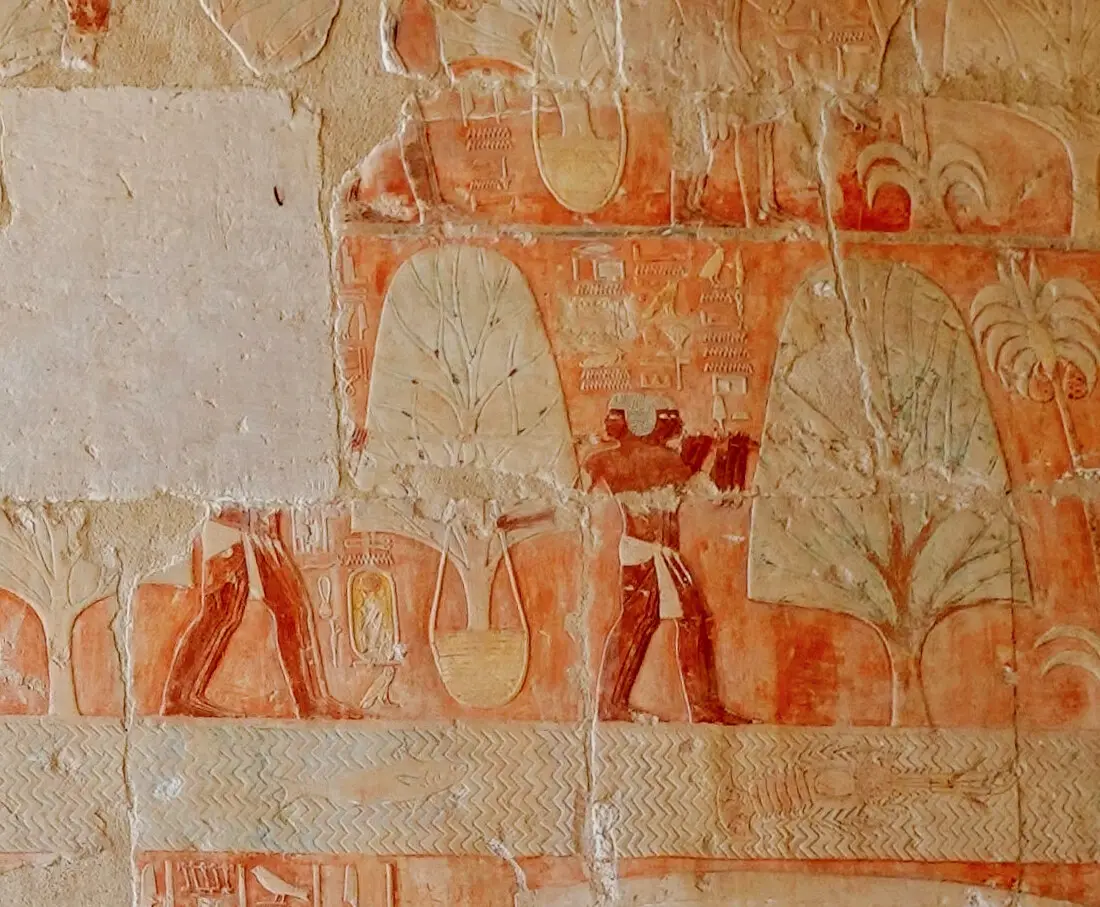 Painted relief of Egyptian porters carrying incense trees with their roots in baskets
