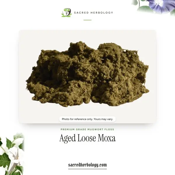 Premium-Grade Aged Loose Moxa