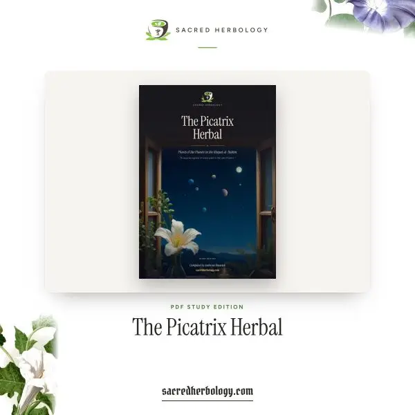 The Picatrix Herbal, study edition PDF cover: a white flower under seven planets at a night window, Sacred Herbology