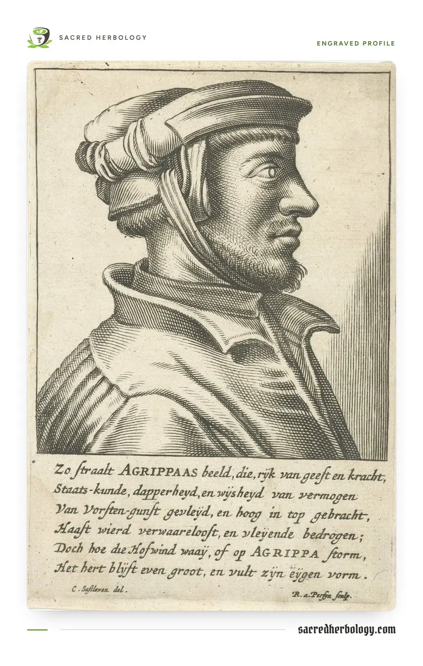 Engraved profile portrait of Agrippa in a soft cap and high-collared gown, with eight lines of Dutch verse below