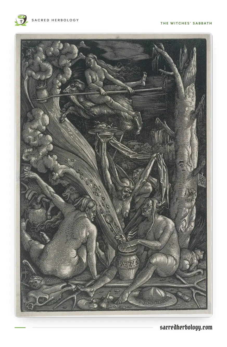Black and grey woodcut of naked witches gathered round a lidded jar in a forest at night, while one witch rides a goat through the sky holding a long stick hung with a pot