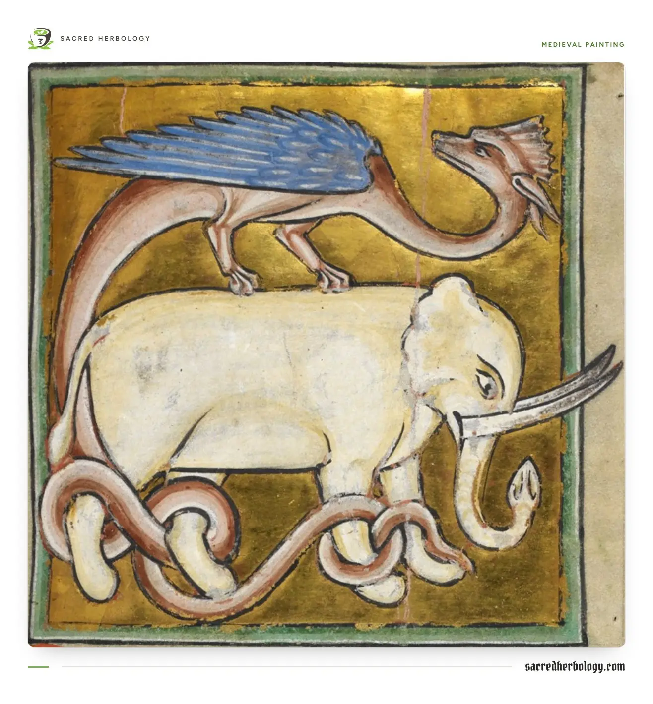 Medieval painting on a gold ground of a winged serpent-like dragon whose long tail is coiled tightly round the legs of a pale elephant