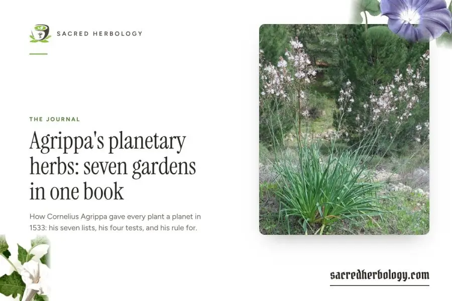 Agrippa’s planetary herbs: seven gardens in one book