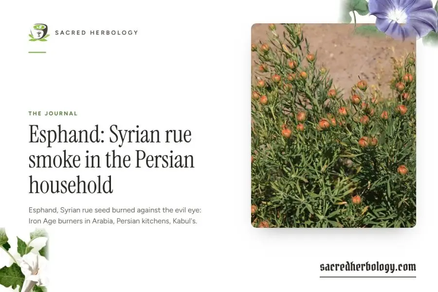 Esphand: Syrian rue smoke in the Persian household