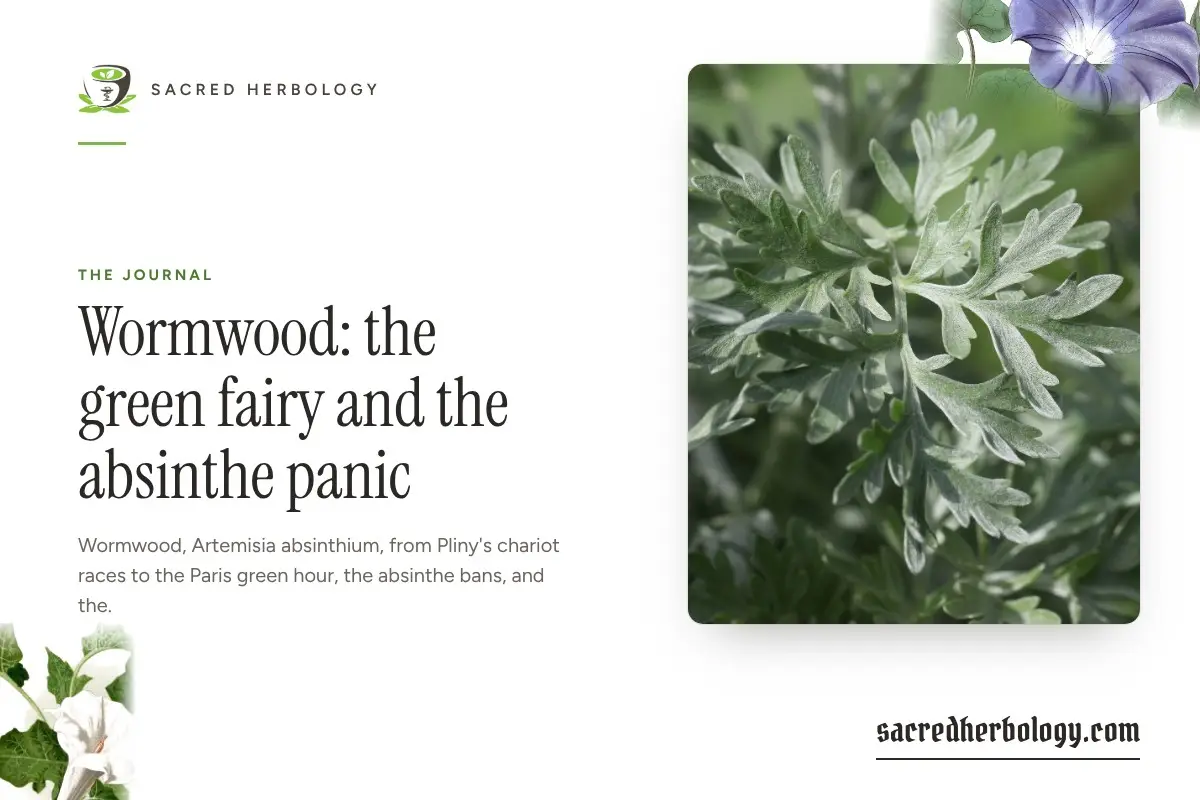 Sacred Herbology share card