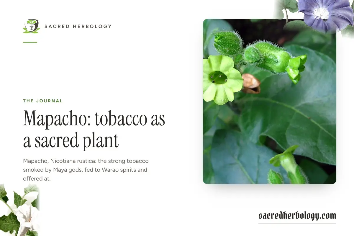 Sacred Herbology share card