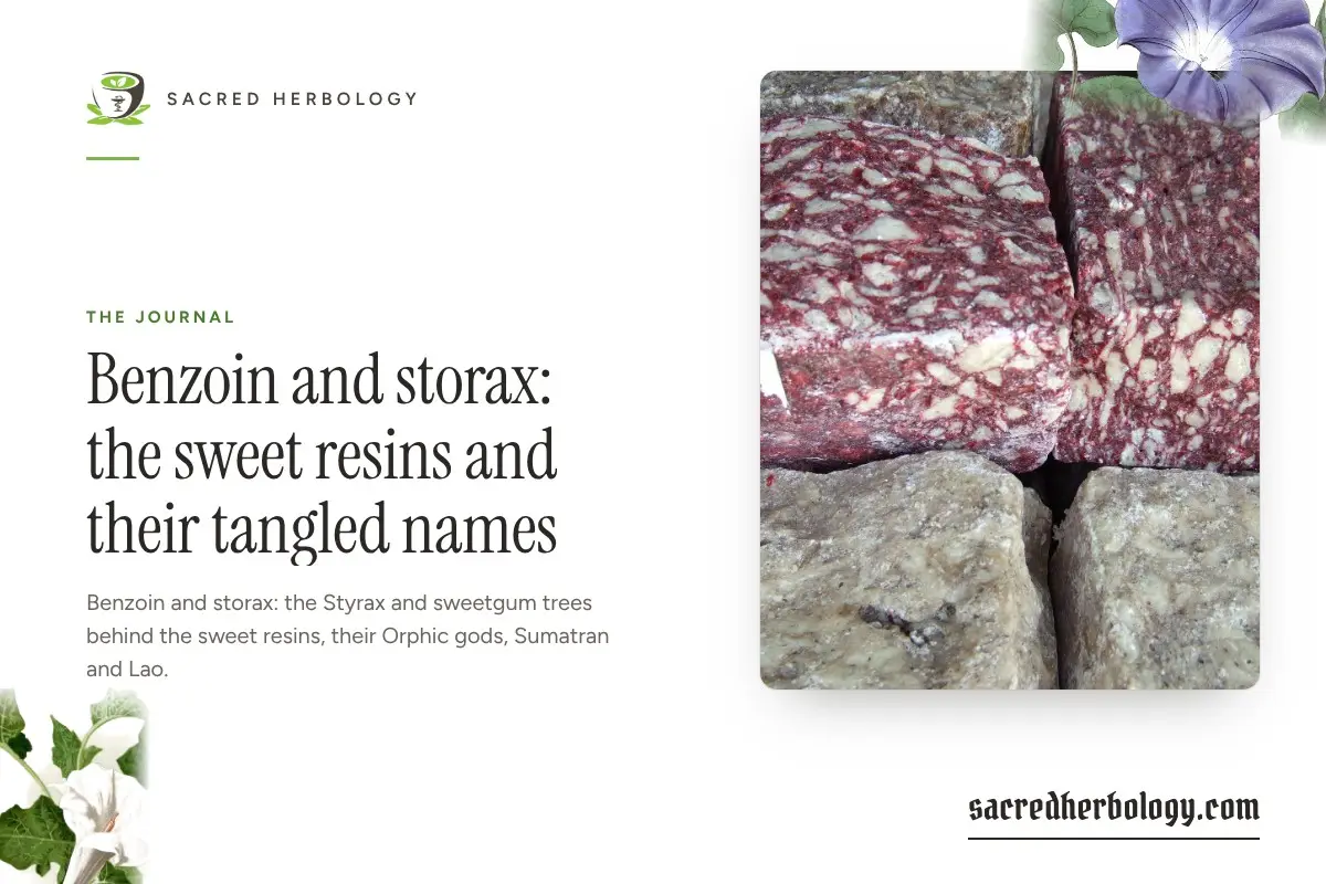 Sacred Herbology share card
