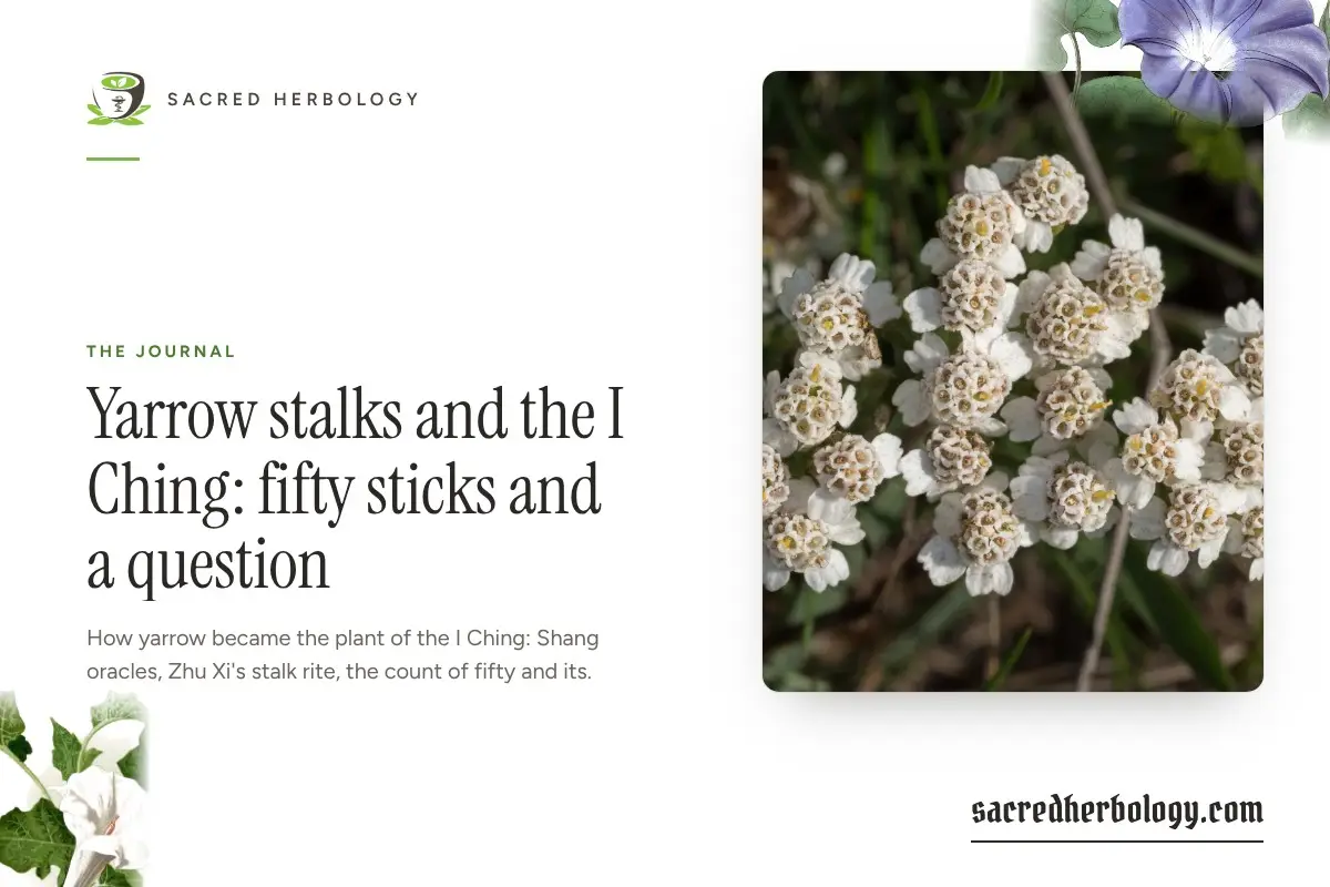 Sacred Herbology share card