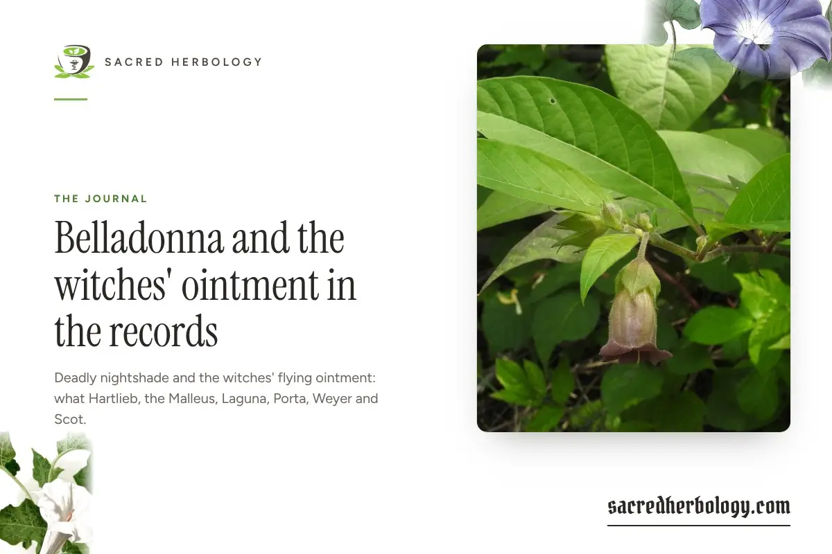 Sacred Herbology share card