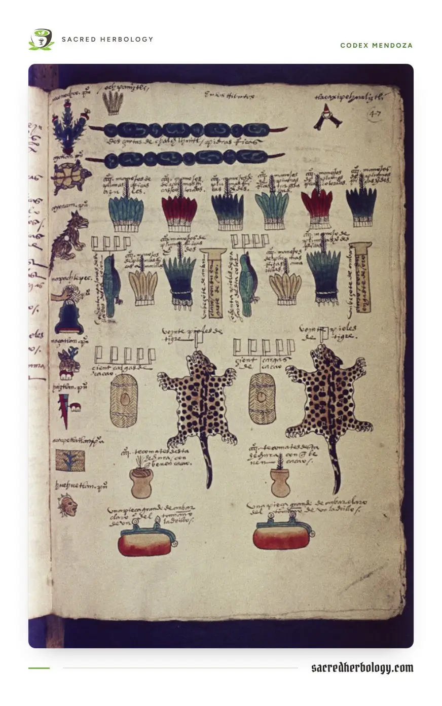 A painted manuscript page listing tribute: strings of green stones, bundles of coloured feathers, birds, two spotted jaguar skins, woven bales and small bowls