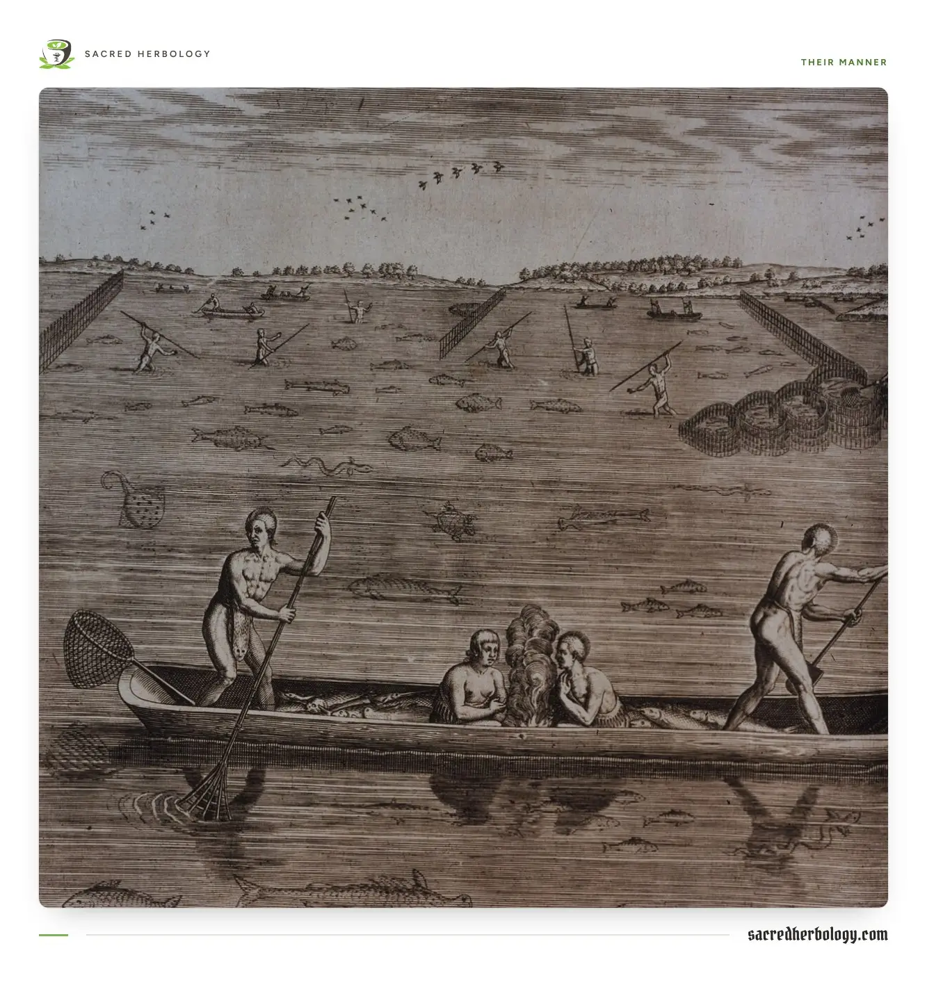 Engraving of Carolina Algonquian people fishing: a dugout canoe with a small fire, men spearing fish in the shallows, and fish weirs of stakes across the water