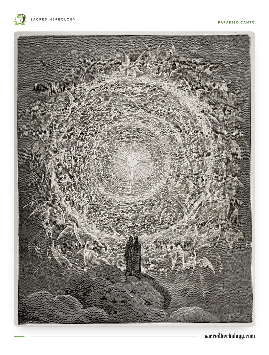 Engraving of Dante and Beatrice looking up at a vast white rose of light made of tiers of angels and the blessed