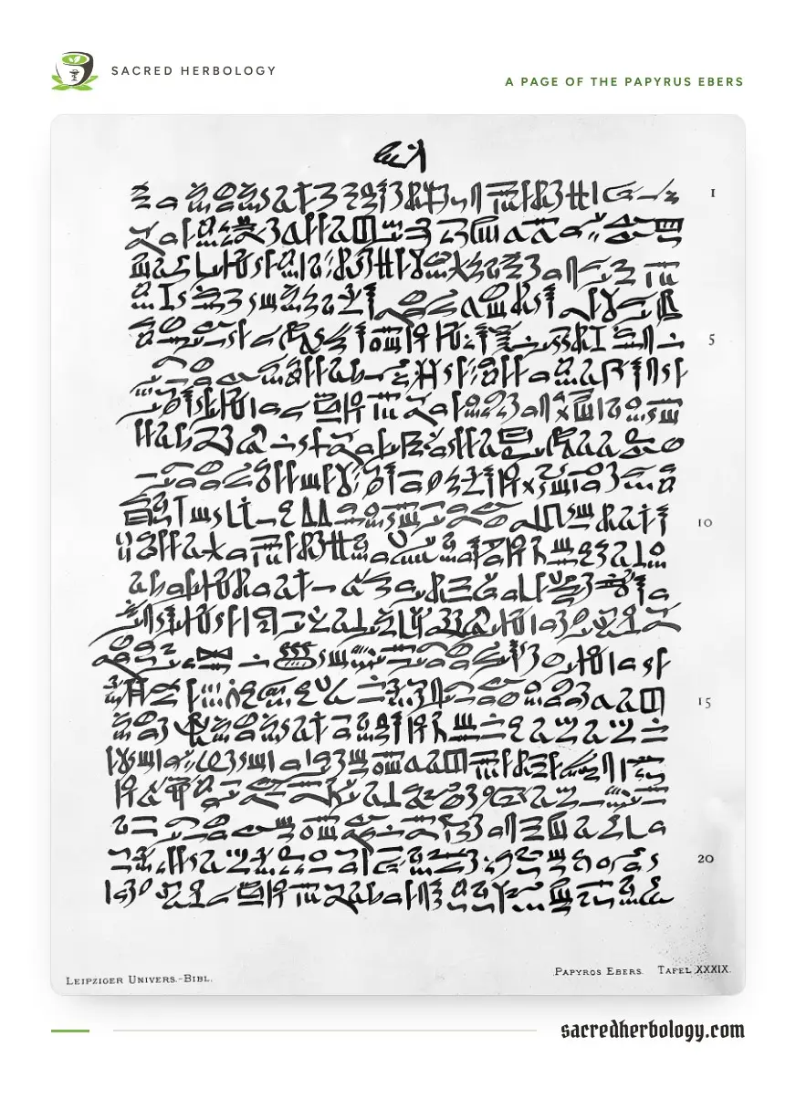 A page of dense hieratic script in about twenty lines, numbered in the margin, from the 1875 facsimile of the Papyrus Ebers