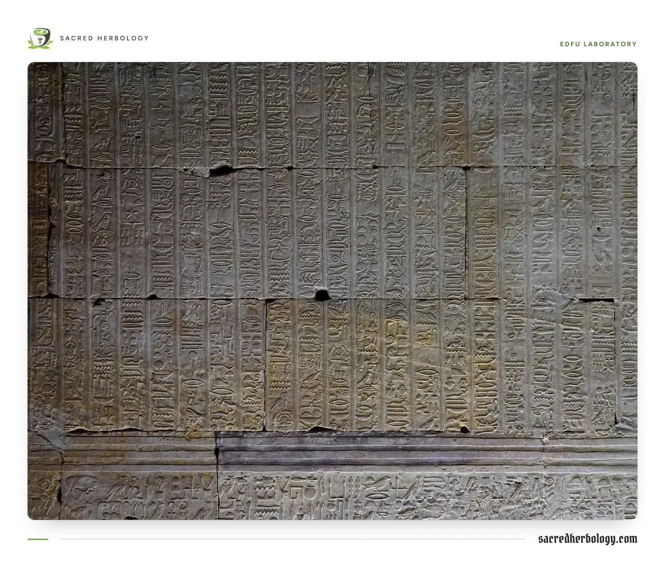 A sandstone wall covered from floor to ceiling in tight vertical columns of carved hieroglyphs, lit from the side