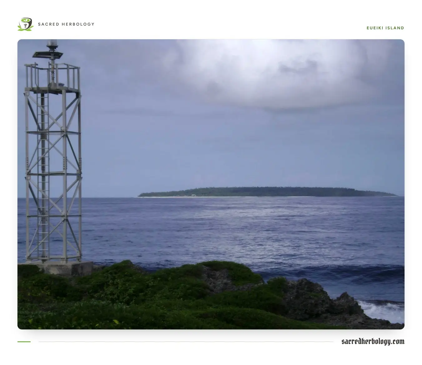 A low, flat island covered in trees on the horizon across a blue sea, seen from a rocky green headland with a metal beacon tower