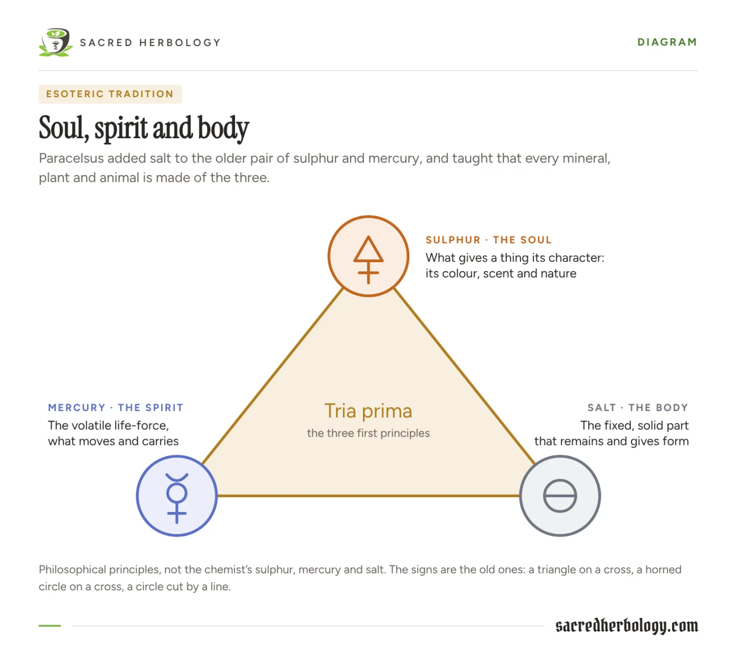 Triangle diagram with sulphur, the soul, at the top, mercury, the spirit, at lower left and salt, the body, at lower right, each with its old alchemical sign