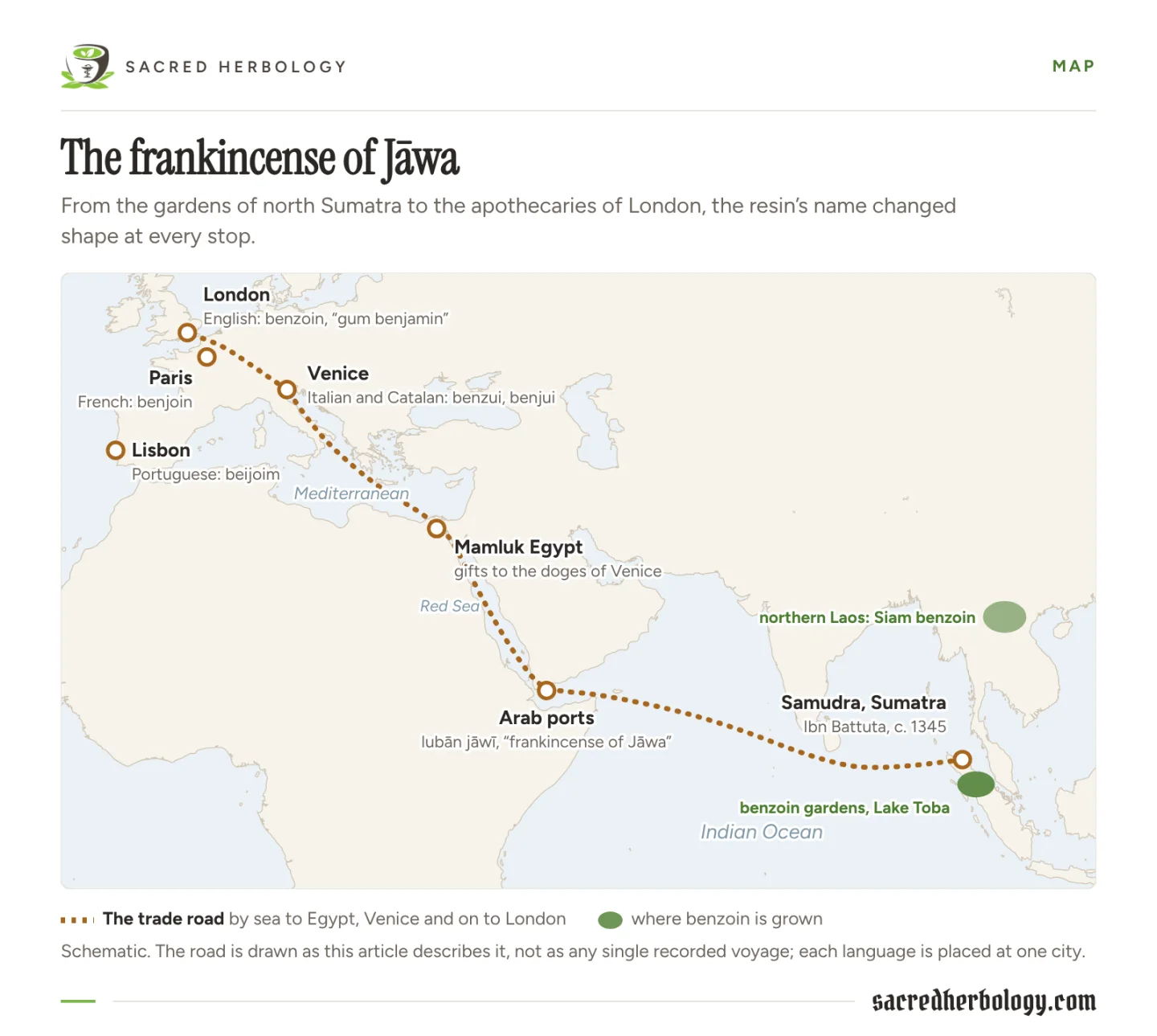 Map from Sumatra across the Indian Ocean to the Arab ports, up the Red Sea to Egypt, to Venice and on to London, with the name at each stop: lubān jāwī, benzui and benjui, beijoim, benjoin, benzoin and gum benjamin