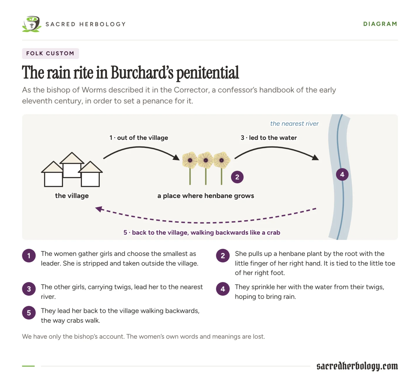 Diagram of the rain rite: the girls leave the village, the smallest pulls up henbane and has it tied to her toe, they go to the river to sprinkle her with water, and walk her back to the village backwards