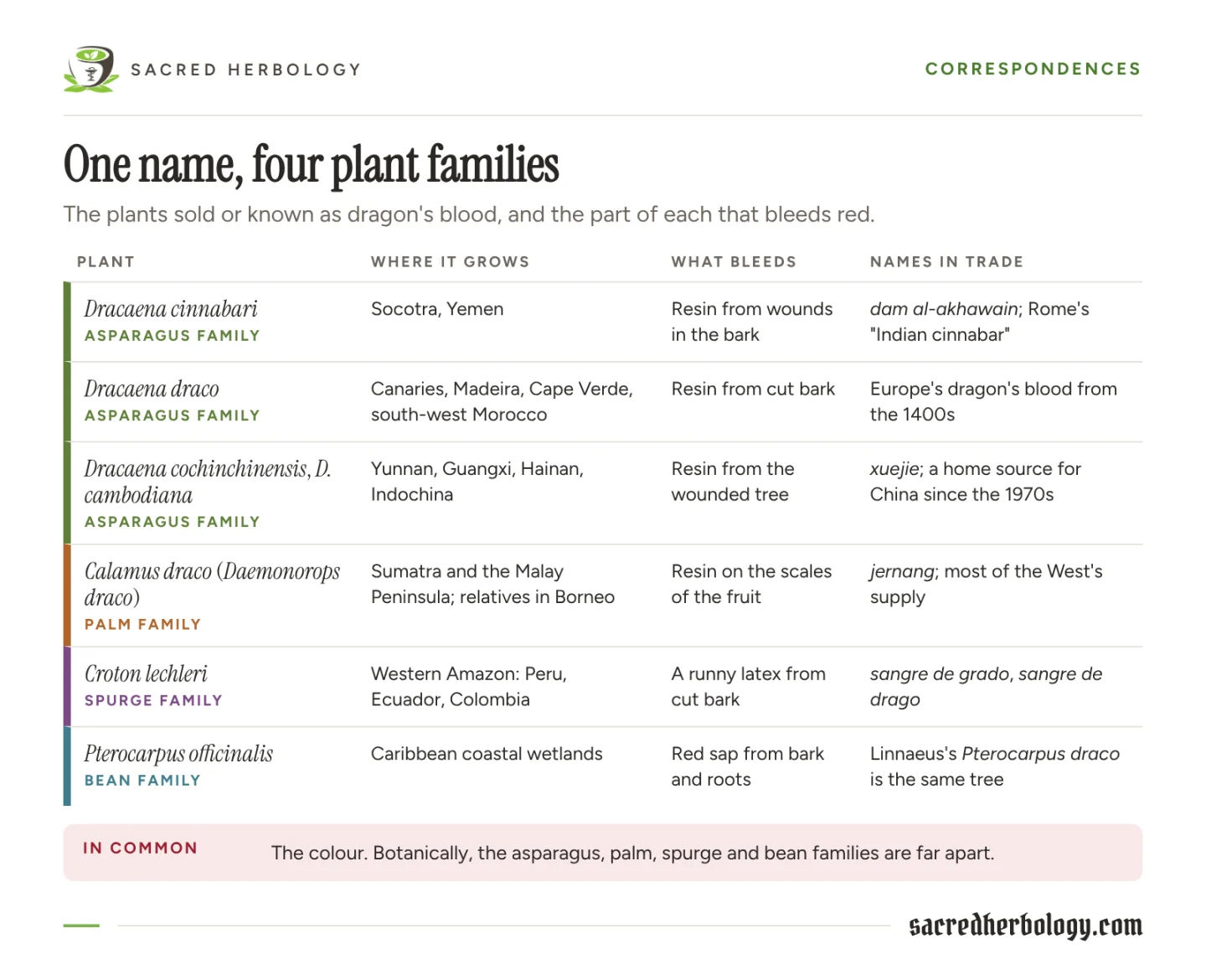 Table of six plants known as dragon's blood, from the asparagus, palm, spurge and bean families, with where each grows, which part bleeds red and its trade names