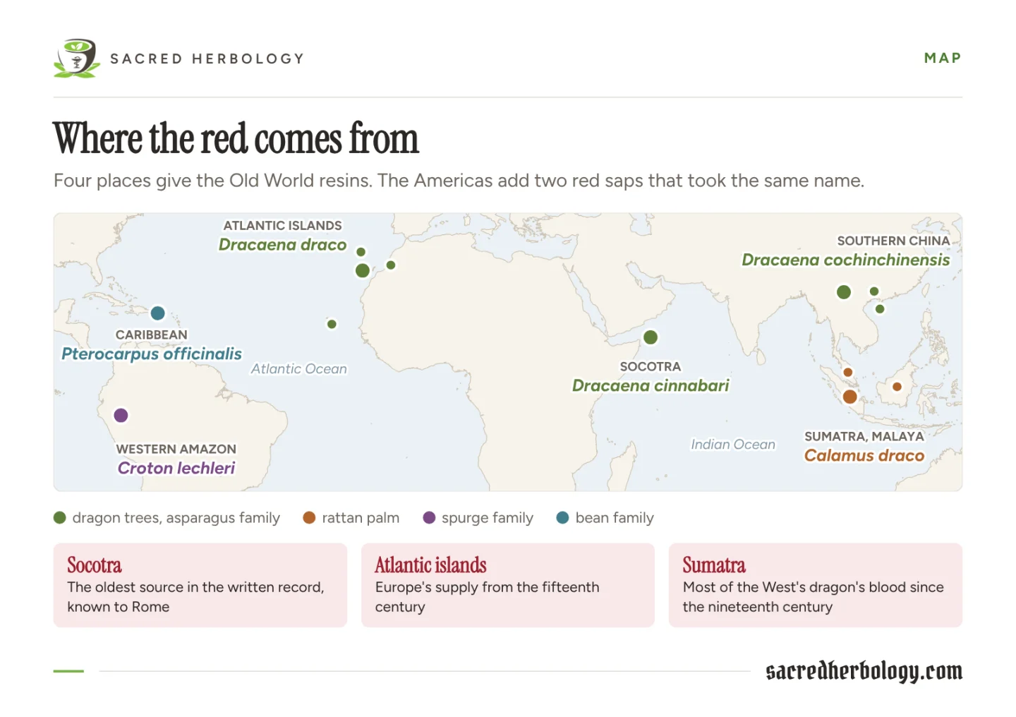 World map marking the sources of dragon's blood: dragon trees on the Atlantic islands, Socotra and southern China, the rattan palm in Sumatra and the Malay Peninsula, Croton lechleri in the western Amazon and Pterocarpus officinalis in the Caribbean