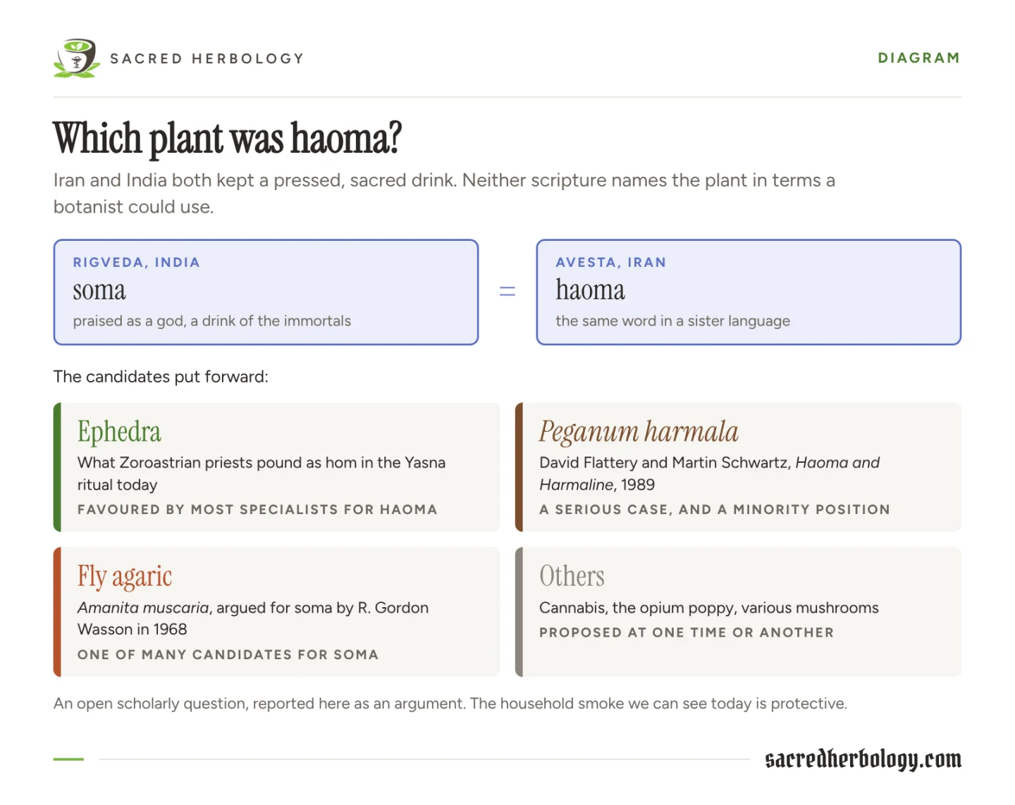 Diagram linking soma of the Rigveda and haoma of the Avesta, with four candidate plants: ephedra, Peganum harmala, fly agaric and others