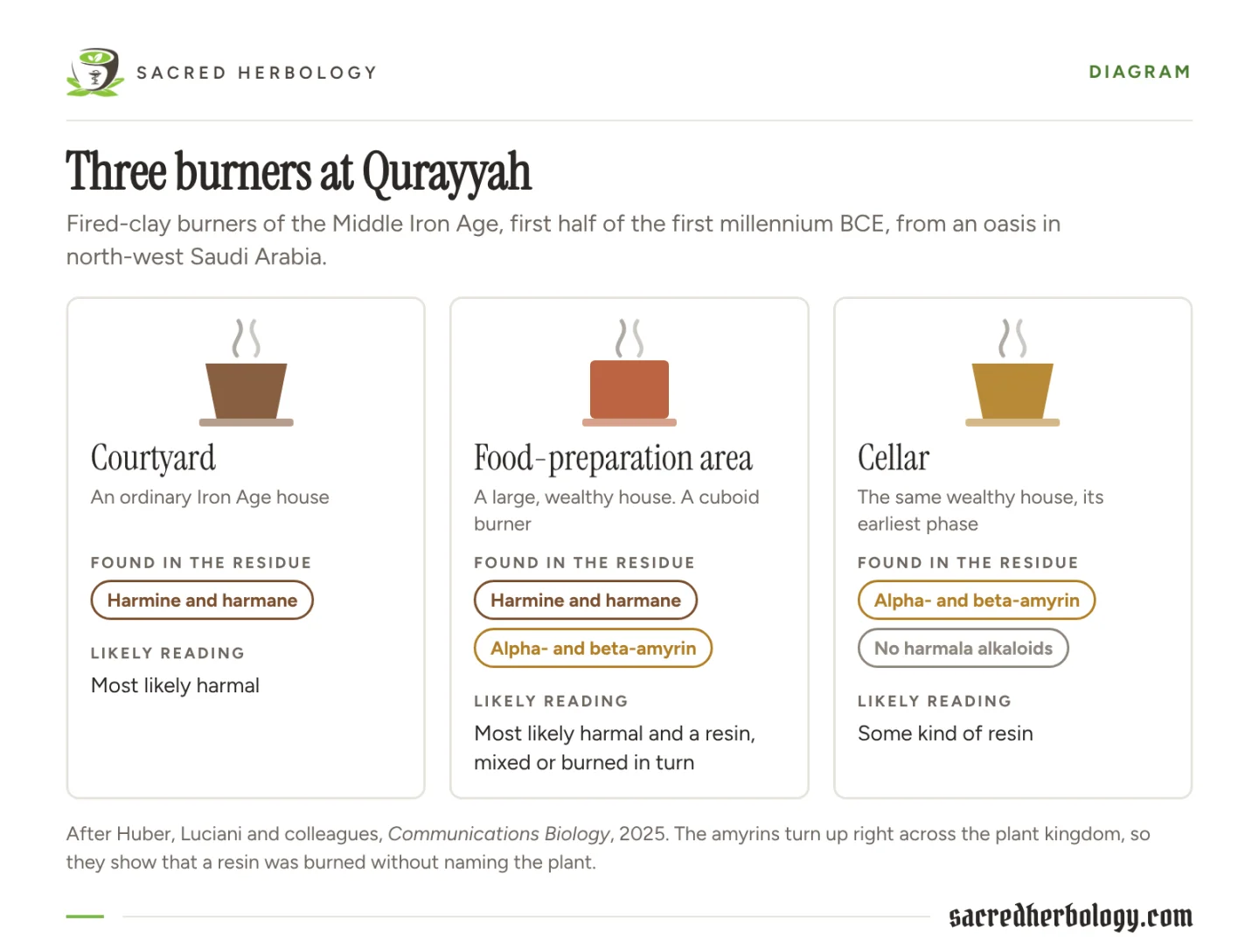 Diagram of three Iron Age clay burners from Qurayyah: courtyard with harmine and harmane, food-preparation area with both alkaloids and amyrins, and cellar with amyrins only