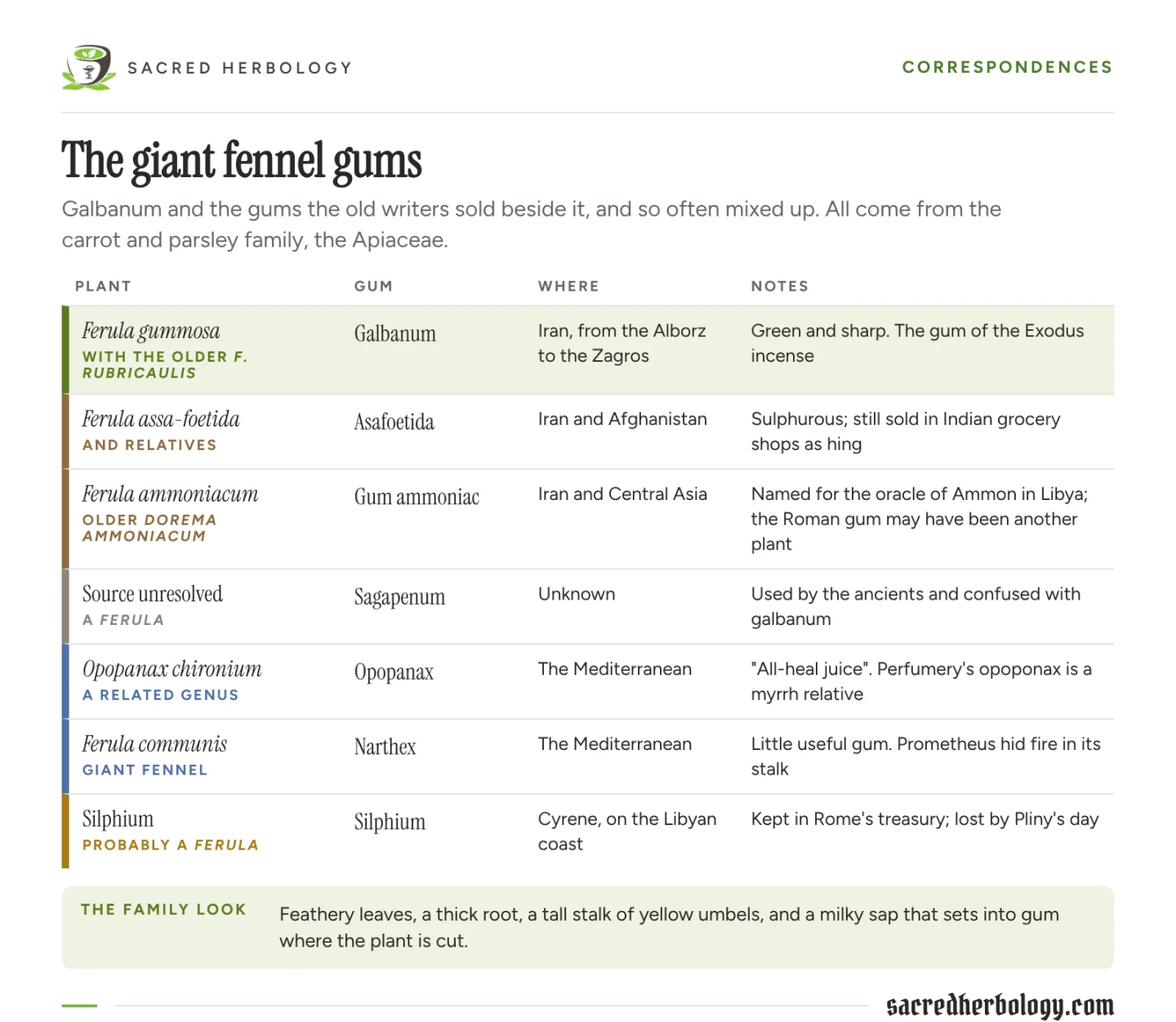 Table of seven giant fennel gums with their plants: galbanum from Ferula gummosa, asafoetida, gum ammoniac, sagapenum of unresolved source, opopanax, the narthex or giant fennel, and the lost silphium of Cyrene, with where each grows and a note on each