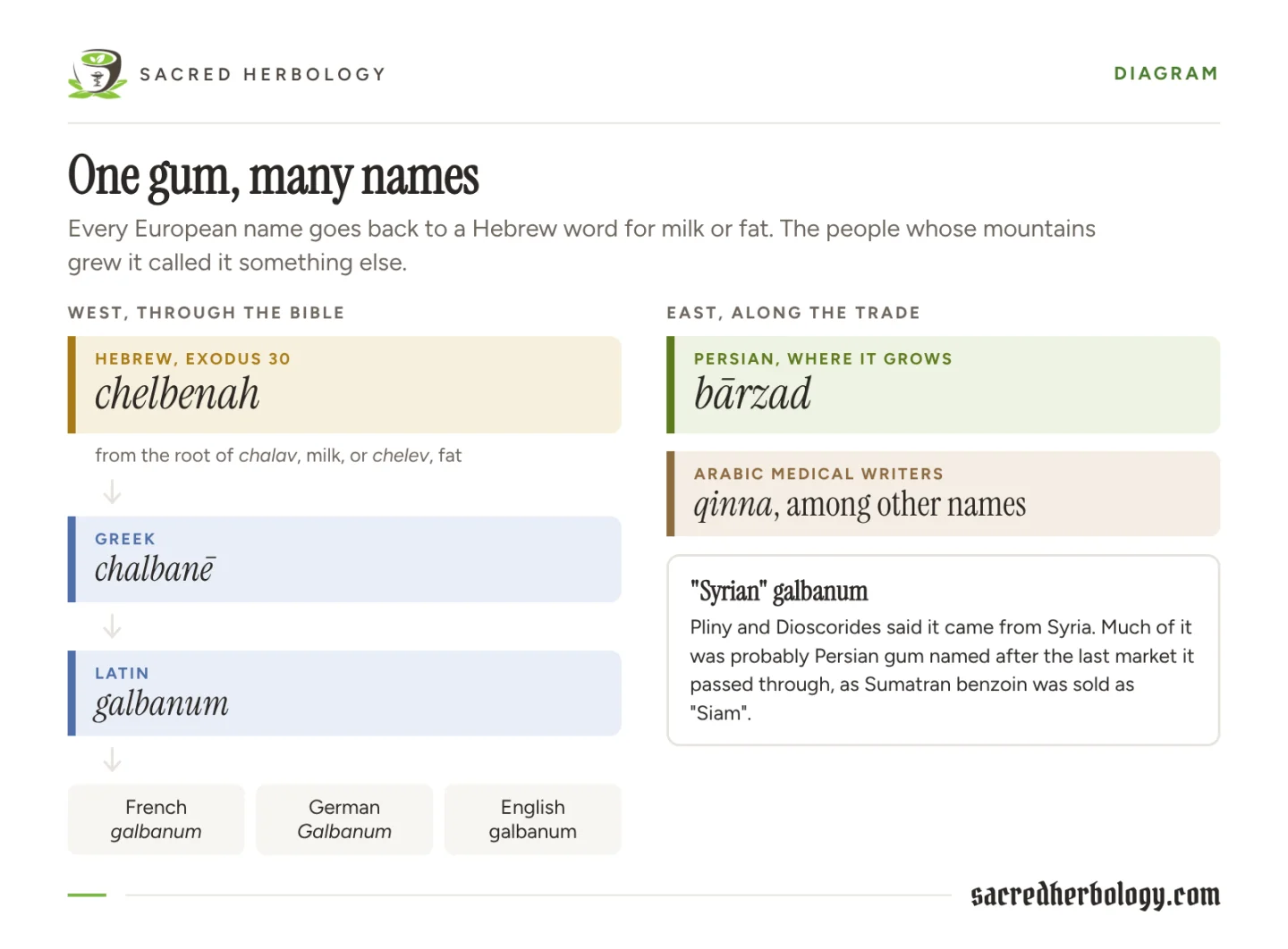 Diagram tracing the name from Hebrew chelbenah, from the words for milk or fat, through Greek chalbane and Latin galbanum to French, German and English, beside the Persian name barzad, the Arabic qinna, and a note on why the Romans called it Syrian