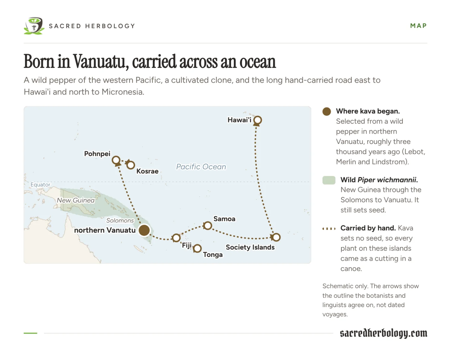 Map of the western and central Pacific marking northern Vanuatu as kava's first home, a shaded band for wild Piper wichmannii from New Guinea to Vanuatu, and dotted routes east to Fiji, Tonga, Samoa, the Society Islands and Hawai'i and north to Pohnpei and Kosrae