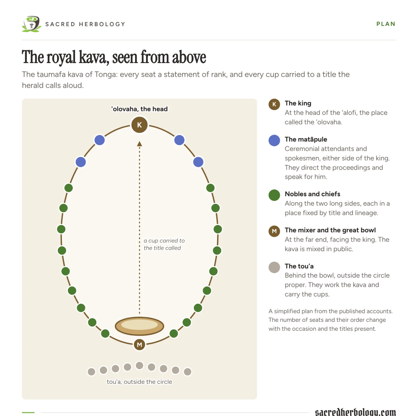 Plan of the Tongan royal kava circle as an oval: the king at the head, matāpule either side of him, nobles and chiefs along both long sides, the mixer and great bowl at the foot, and the tou'a seated outside the circle behind the bowl