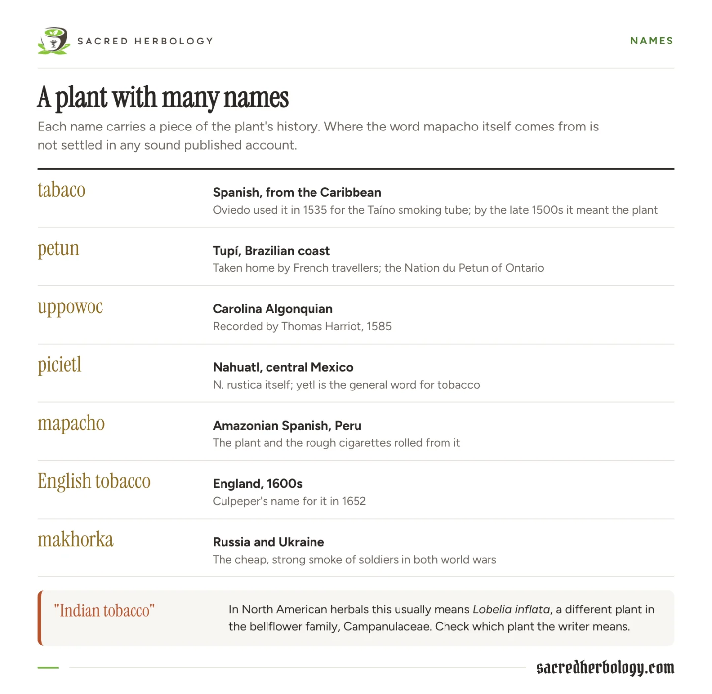 Table of tobacco names: tabaco, petun, uppowoc, picietl, mapacho, English tobacco and makhorka, with language, region and source, and a warning that Indian tobacco usually means Lobelia inflata