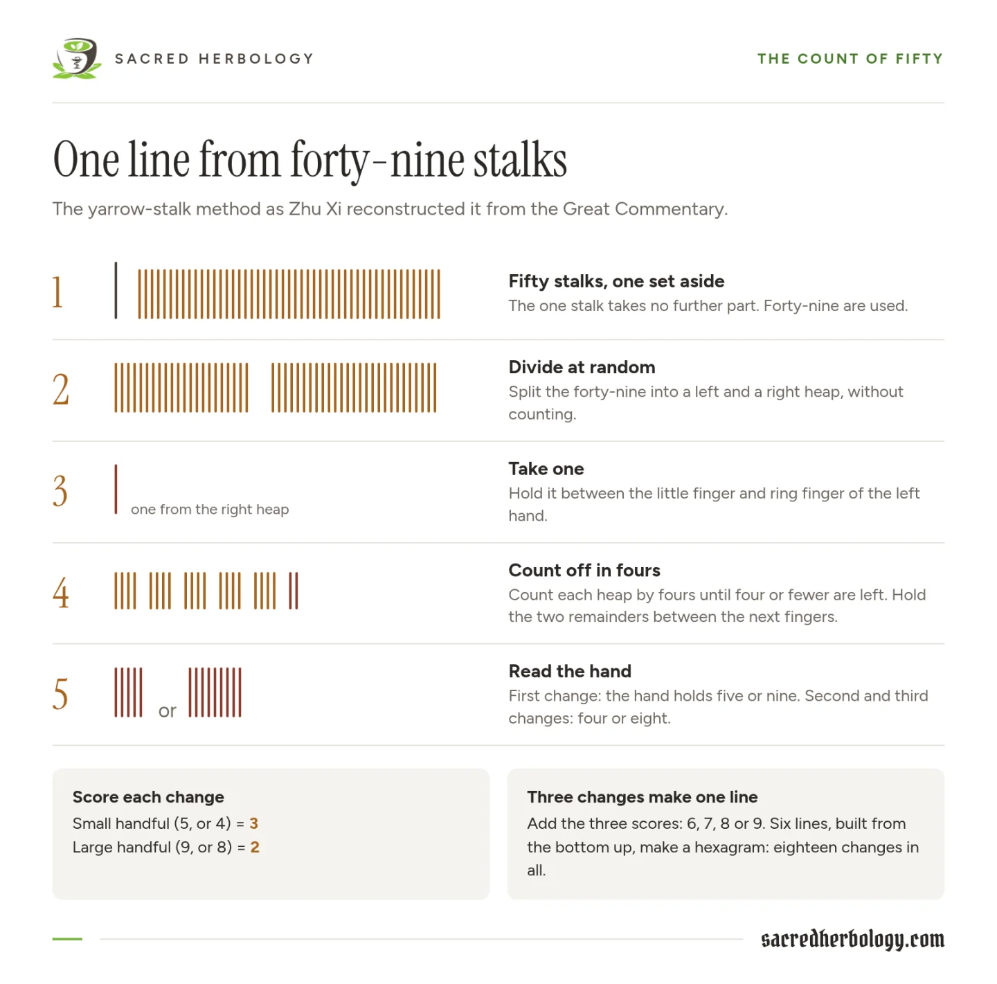Five-step diagram of the stalk count: one stalk set aside from fifty, the forty-nine split into two heaps, one stalk taken, the heaps counted in fours, and a handful of five or nine left in the hand