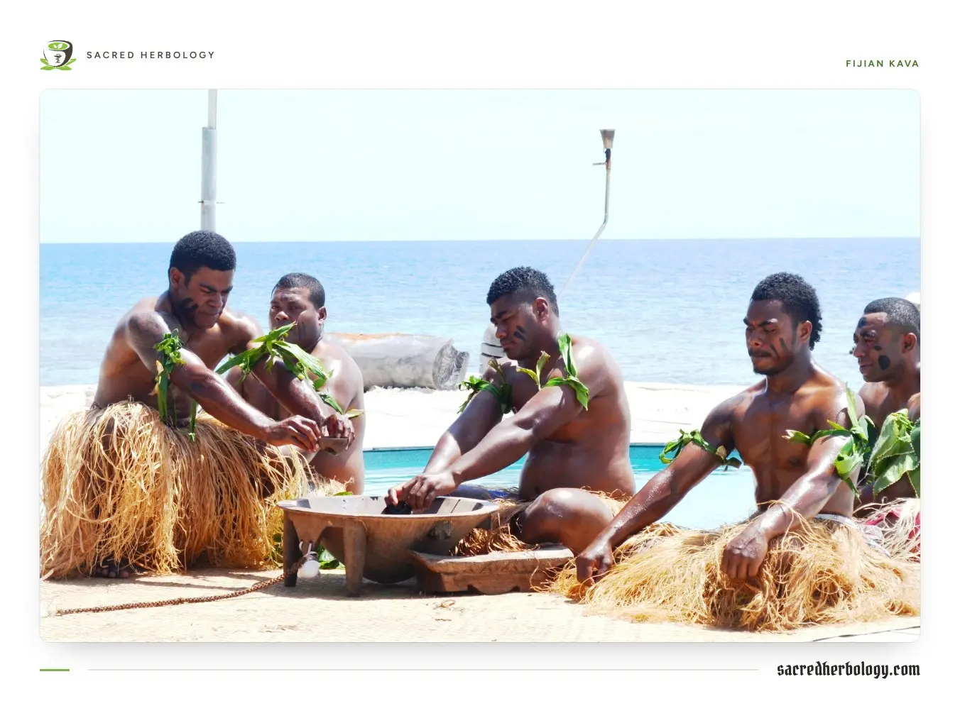Fijian men in grass skirts and leaf armbands seated around a wooden tanoa on the sand by the sea, one working the kava in the bowl
