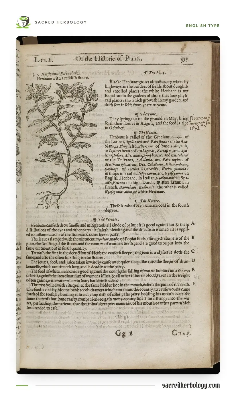 A printed herbal page in old English type with a woodcut of a henbane plant in the upper left and the chapter on its kinds, places, times, names and virtues