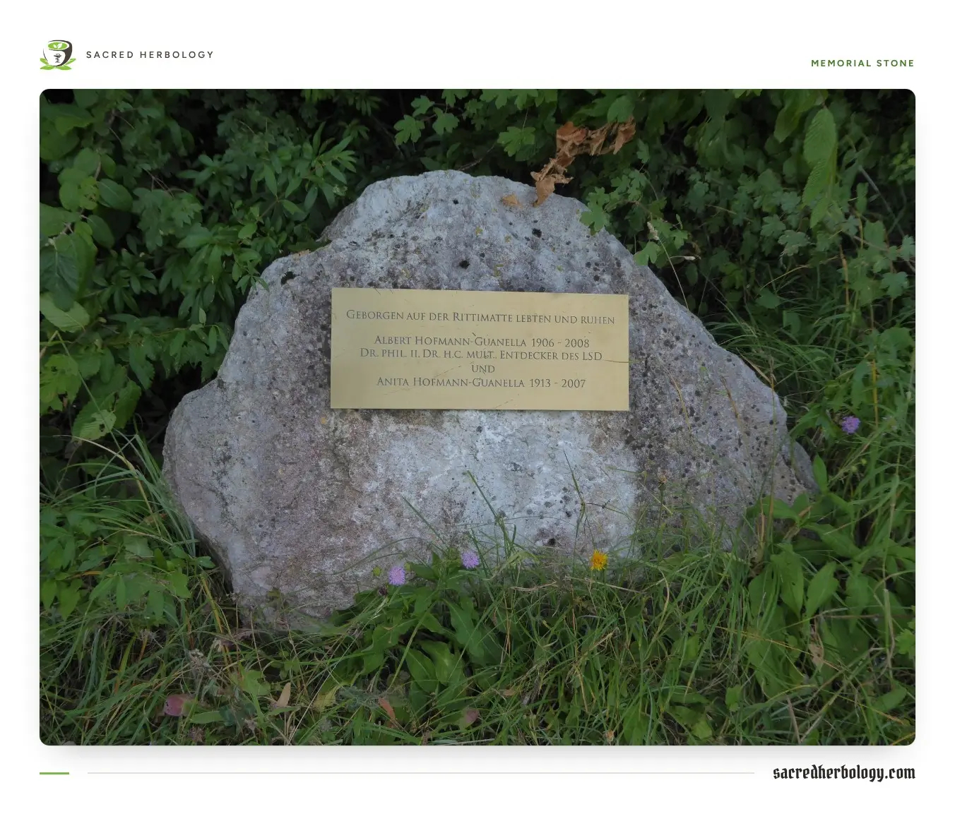 A pale rough boulder in long grass carrying a small brass plaque with engraved names and dates