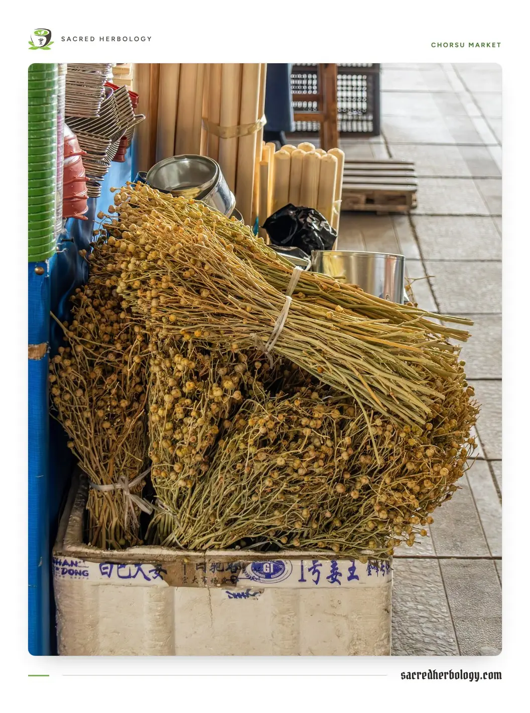 Large tied bundles of dried yellow-brown stems and seed heads stacked in a cardboard box beside a tiled market walkway