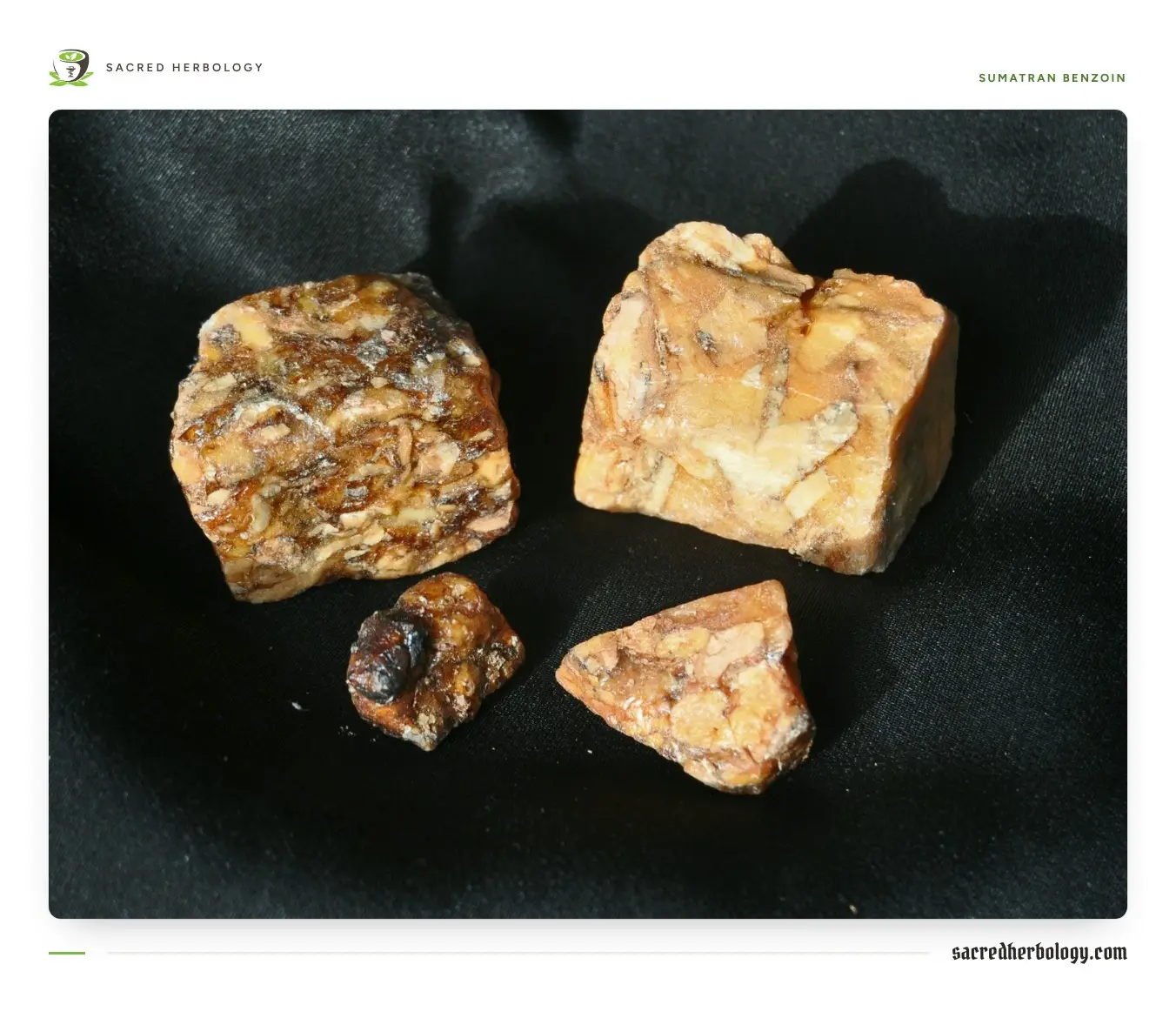 Four lumps of benzoin on black cloth: darker, mottled pieces on the left and paler, creamy pieces on the right