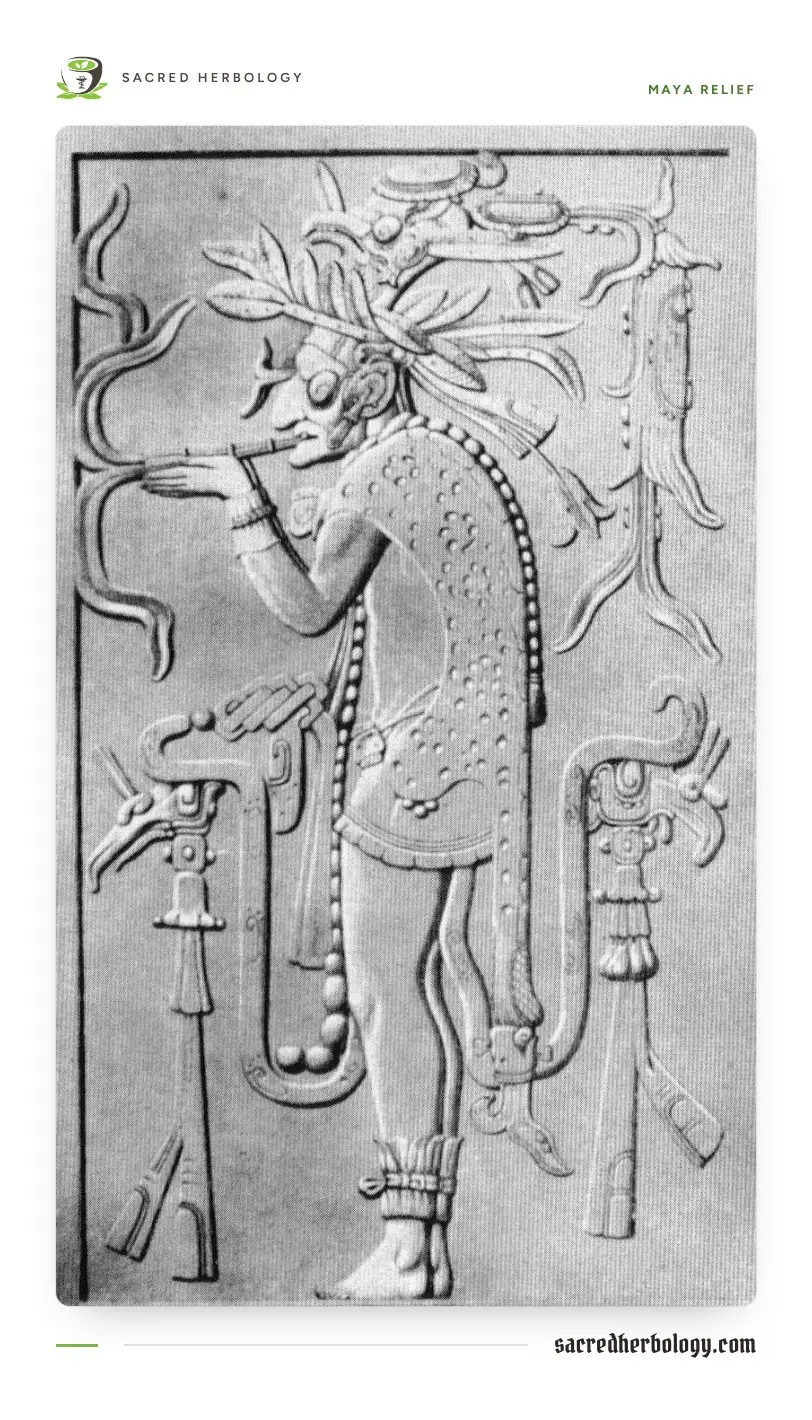 Black and white rendering of a carved Maya relief: a figure in profile in a tall feathered headdress and spotted cloak, smoking a cigar, framed by scrolling serpent forms