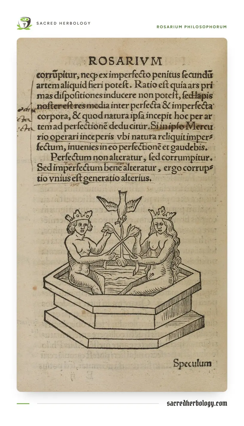 A printed page headed ROSARIUM with Latin text above a woodcut of a crowned king and queen sitting in an eight-sided stone bath, holding crossed flowering stems, with a dove descending above them