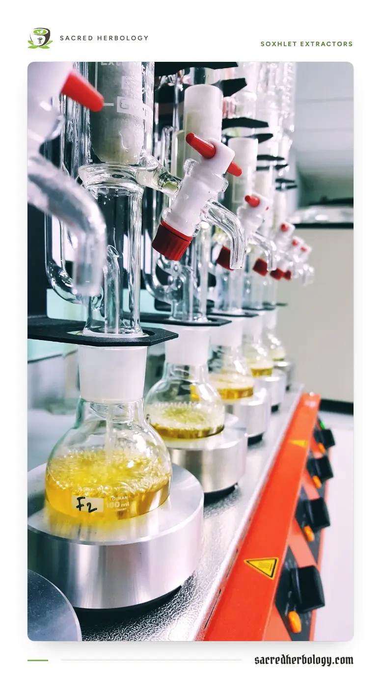 A row of glass Soxhlet extractors with white clamps standing on heating plates, yellow liquid in the round flasks at the bottom