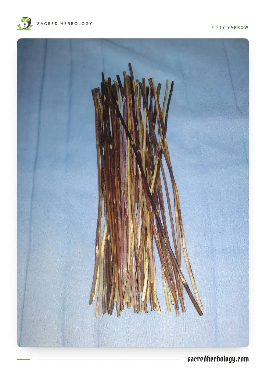 A bundle of fifty thin, dried, brownish yarrow stems laid on a pale blue cloth